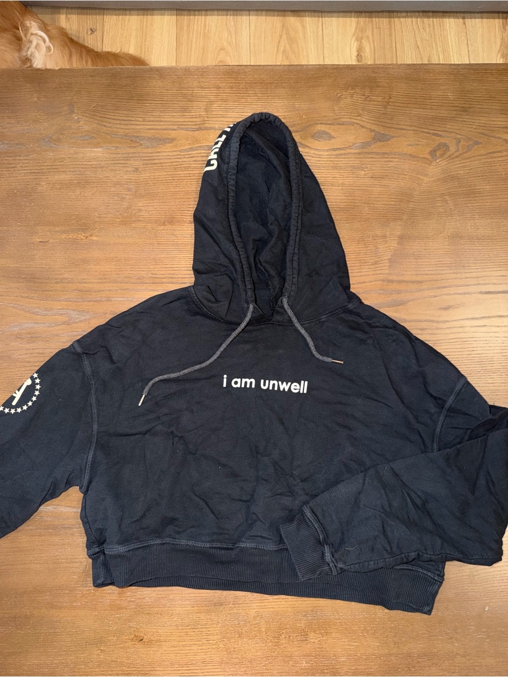 Black Cropped Barstool Hoodie Sweater with "i am unwell" Print